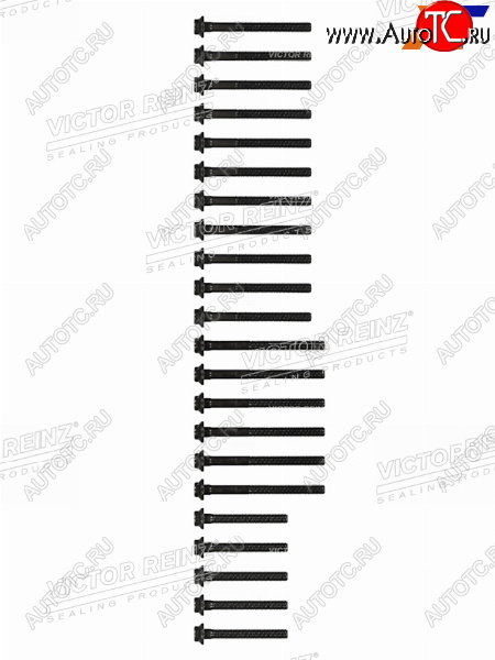 2 899 р. Комплект болтов  ГБЦ MBSSANGYONG  E(W210)G(W461W463)SPRINTER KORANDO OM662 VICTOR REINZ 14-32031-02  с доставкой в г. Вологда