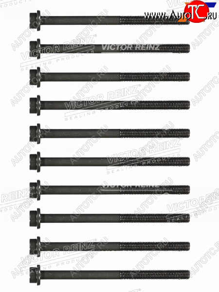 3 599 р. Комплект болтов ГБЦ FORD FOCUSC-MAXMONDEO QQDBAODAAODBSEBAAOBCAOBATBBA VICTOR REINZ 14-32207-01  с доставкой в г. Вологда