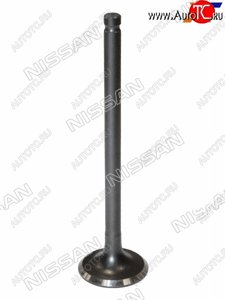 1 779 р. Клапан выпускной NISSAN ALMERA 06-12  QG16 NISSAN 13202-95F0B  с доставкой в г. Вологда