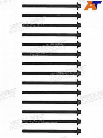 Комплект болтов ГБЦ BMW X5(E70) N57D30B VICTOR REINZ 14-10398-02