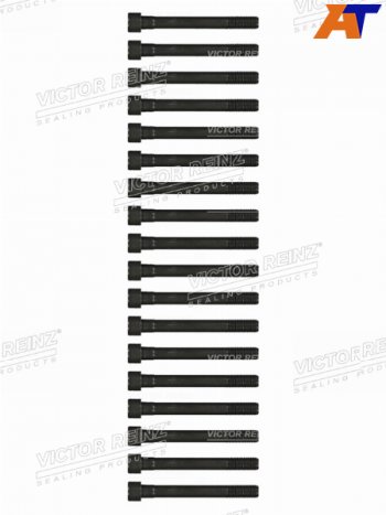 Комплект болтов ГБЦ MITSUBISHI PAJEROL200 4D56 VICTOR REINZ 14-55015-01