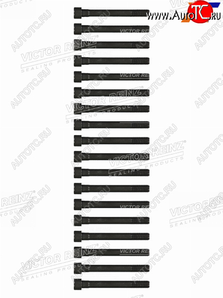 3 199 р. Комплект болтов ГБЦ MITSUBISHI PAJEROL200 4D56 VICTOR REINZ 14-55015-01  с доставкой в г. Вологда