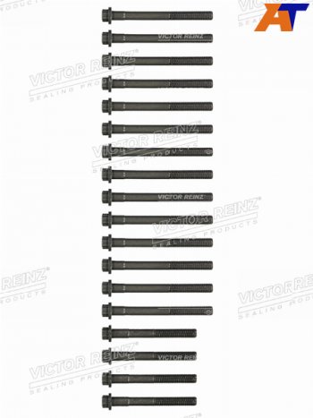 Комплект болтов ГБЦ TOYOTA 2L#T3L5L 90  (18 штук) VICTOR REINZ 14-55000-01
