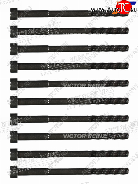 2 499 р. Комплект болтов ГБЦ TOYOTA 1-4ZZFE (10 штук) VICTOR REINZ 14-55035-01  с доставкой в г. Вологда