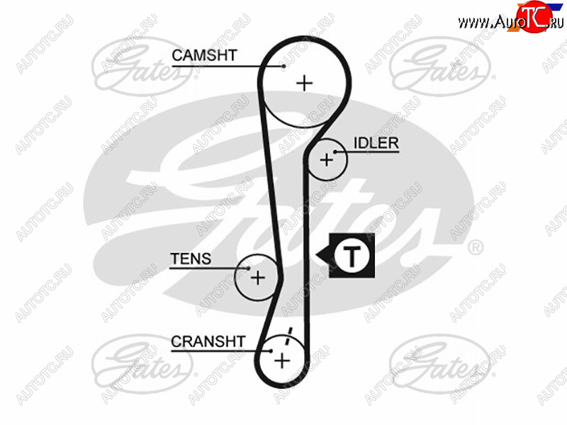 1 429 р. Ремень ГРМ HYUNDAI ACCENT 1.61.4 16V 06-KIA RIO1.41.6 16V 05-11CERATO 04-09 GATES 5479XS  с доставкой в г. Вологда