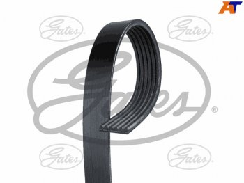 Ремень поликлиновый HONDA ACCORD F20BNISSAN AD 99-08  QG18DEBLUEBIRD SYLPHY G10 00-05VW TIGUAN 11 GATES 6PK1113
