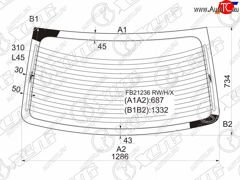 7 999 р. Стекло заднее (Цвет зеленый Обогрев) Hyundai Elantra 00-09  Avante 00-06 XYG FB21236 RW/H/X  с доставкой в г. Вологда