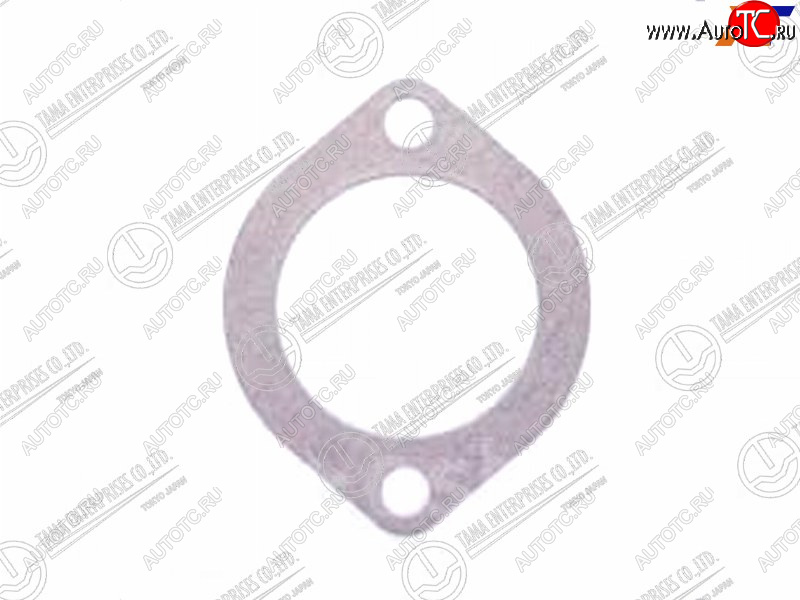 82 р. Прокладка корпуса термостата MAZDA B5B6Z5ZLFE TAMA P401  с доставкой в г. Вологда