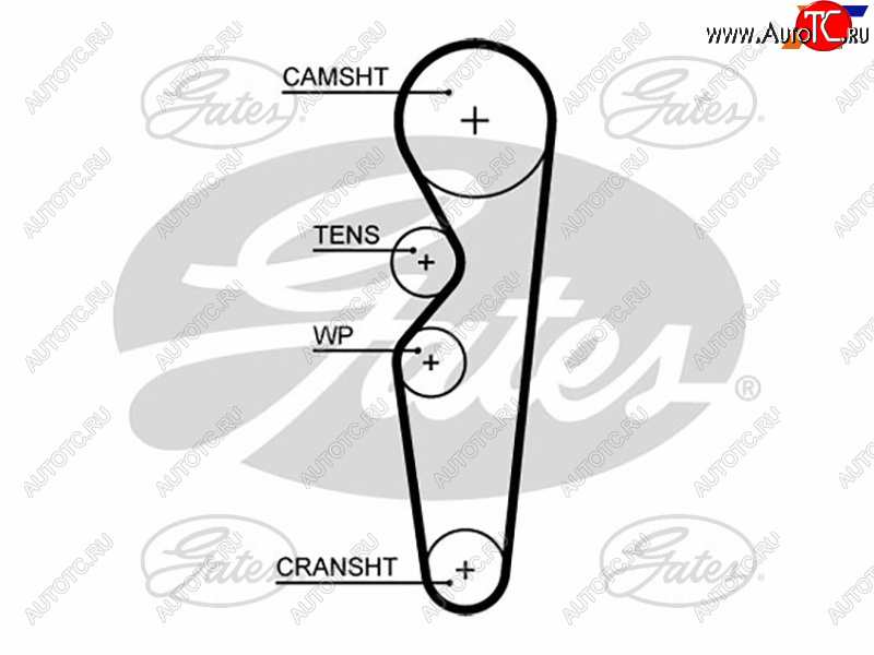 1 799 р. Ремень ГРМ CHERY BONUS AMULETFORD ESCORTORIONFIESTA 1,6 CVH 92-00 GATES 5665XS  с доставкой в г. Вологда