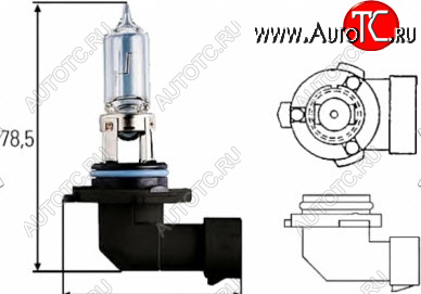 88 р. H10 (12V-42W  PY20D) ЛАМПА УПАКОВКА (1 шт) BLICK BODYPARTS lph1000-980-o  с доставкой в г. Вологда