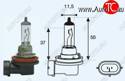 131 р. H8 (12V-35W  PGJ19-1) ЛАМПА УПАКОВКА (1 шт) BLICK BODYPARTS lp0h800-980-o  с доставкой в г. Вологда