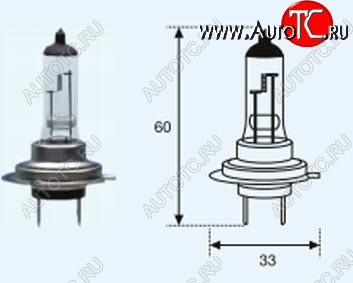 44 р. H7 (24V-70W  PX26D) ЛАМПА УПАКОВКА (1 шт) BLICK BODYPARTS lp0h700-982-o  с доставкой в г. Вологда