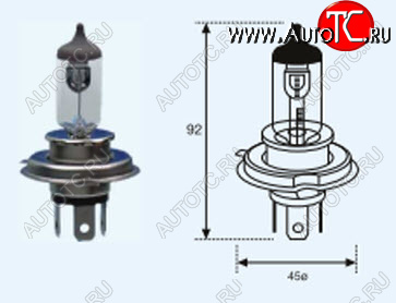 212 р. H4 (12V-60-55W  P43T Long Life) ЛАМПА УПАКОВКА (1 шт) SELUM BODYPARTS lp0h400-981-o  с доставкой в г. Вологда