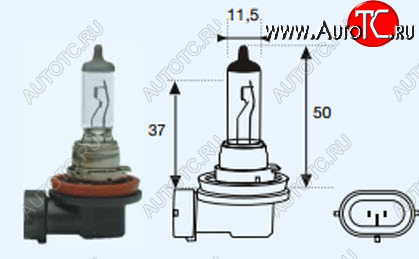 131 р. H11 (12V-55W  PG19-2) ЛАМПА УПАКОВКА (1 шт) BLICK BODYPARTS lph1100-980-o  с доставкой в г. Вологда