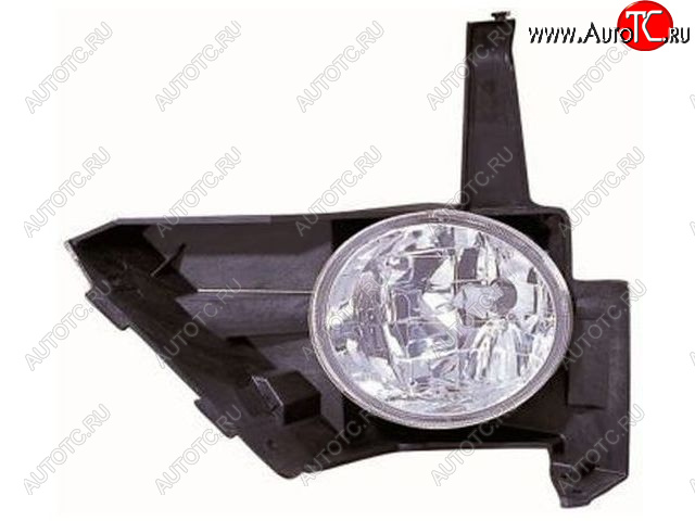 1 599 р. Правая противотуманная фара BODYPARTS Honda CR-V RD4,RD5,RD6,RD7,RD9  рестайлинг (2004-2006)  с доставкой в г. Вологда