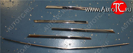 5 249 р. W163ML МОЛДИНГ РЕШЕТКИ РАДИАТОРА (5шт) (комплект) ТЮНИНГ (Тайвань) ХРОМ API md16398-120h  с доставкой в г. Вологда