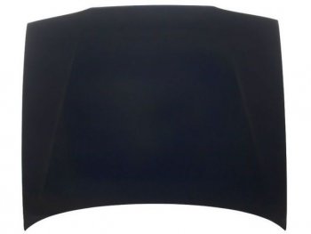 R19 КАПОТ TYG rnr1992-330