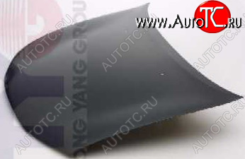 8 999 р. ROVER 200 КАПОТ (Тайвань) TYG rv20095-330  с доставкой в г. Вологда
