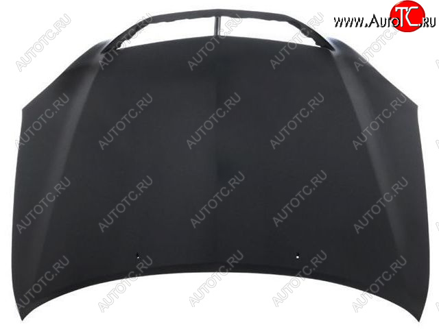 20 999 р. RX300 КАПОТ (Тайвань) BodyParts lxrx303-330  с доставкой в г. Вологда