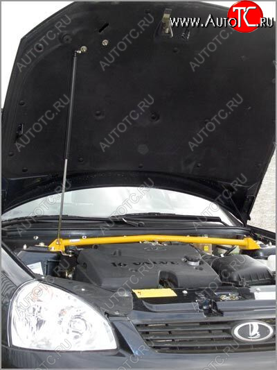 2 269 р. Упор капота Lada Priora ТехноМастер (без кронштейна) ТехноМастер 8231.0400.04  с доставкой в г. Вологда