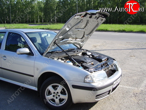 3 399 р. Упор капота Skoda Octavia Tour (1996-2011) ТехноМастер ТехноМастер 8231.5300.04  с доставкой в г. Вологда