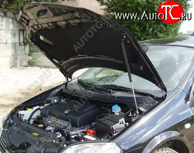 3 399 р. Упор капота Nissan Primera III (P12) (2001-2008) ТехноМастер ТехноМастер 8231.5600.04  с доставкой в г. Вологда