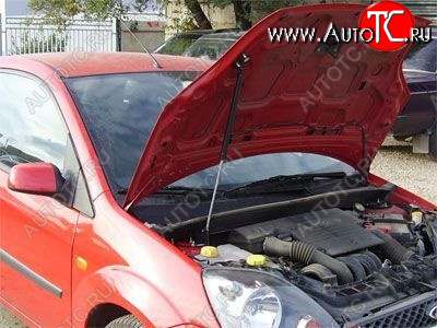 3 399 р. Упор капота Ford Fiesta V (2001-2009) ТехноМастер ТехноМастер 8231.5900.04  с доставкой в г. Вологда
