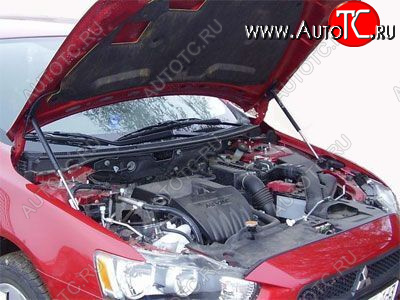 4 899 р. Упор капота Mitsubishi Lancer X (2011-) ТехноМастер ТехноМастер 8231.6150.04  с доставкой в г. Вологда