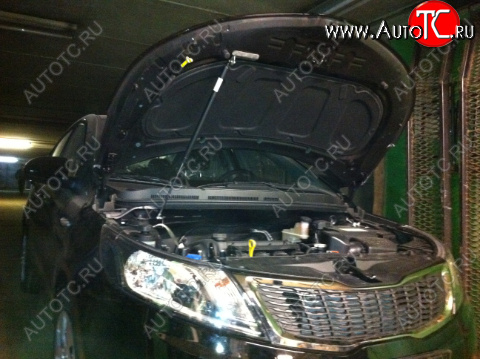 3 199 р. Упор капота KIA Rio III (2011-н.в.) ТехноМастер ТехноМастер 8231.7800.04  с доставкой в г. Вологда