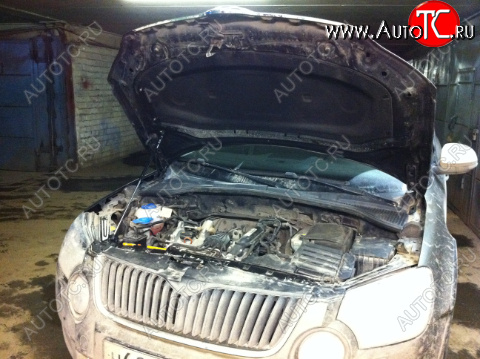 1 669 р. Упор капота Skoda Yeti I (2009-2013) ТехноМастер ТехноМастер 8231.8500.04  с доставкой в г. Вологда