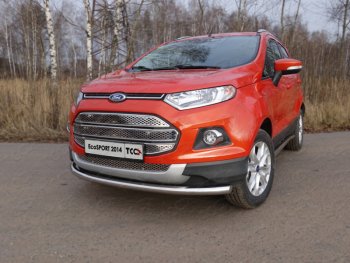 Защита переднего бампера нижняя d60,3 мм ТСС Тюнинг Ford EcoSport дорестайлинг (2013-2019) (нержавейка)