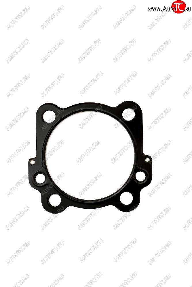 1 649 р. Прокладка ГБЦ CHAKIN Harley-Davidson Twin Cam 91-06 16787-99  10hd-001  с доставкой в г. Вологда