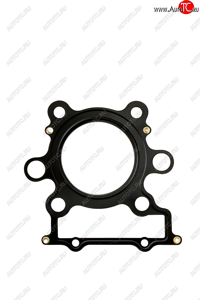 2 339 р. Прокладка ГБЦ CHAKIN Yamaha TT-R250 99-06 4GY-11181-01-00  100y-014  с доставкой в г. Вологда