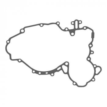 Прокладка для KTM 60030025000  00kt-004