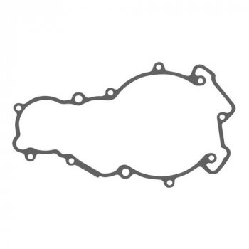 Прокладка для KTM 60030040100  00kt-006
