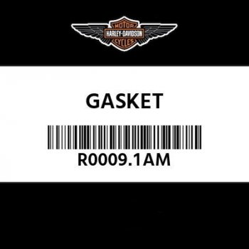 Прокладки Harley Davidson R0009.1AM Оригинал  пм-00021746