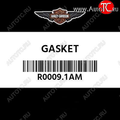699 р. Прокладки Harley Davidson R0009.1AM Оригинал  пм-00021746  с доставкой в г. Вологда