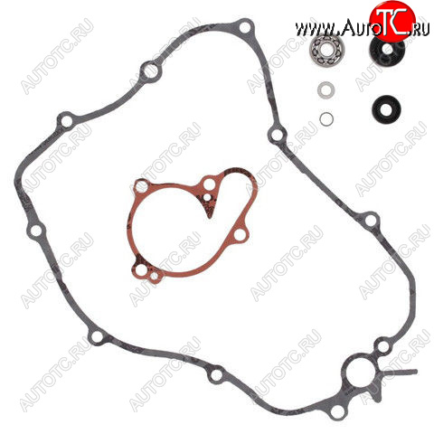 3 989 р. Ремкомплект помпы WINDEROSA Yamaha YZ125 05-16  (821641)  821641  с доставкой в г. Вологда
