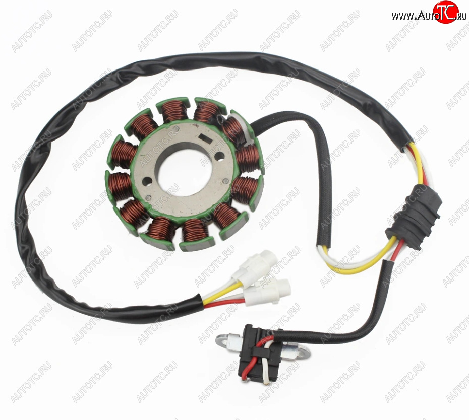 4 379 р. Статор генератора Yamaha WR250F 03-0911-14 5UM-81410-09-00, 5UM-81410-31-00  пм-00028532  с доставкой в г. Вологда