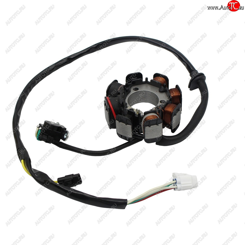 6 769 р. Статор генератора Kawasaki KLX300R 96-07, KLX250R 93-96 21003-1274, 21003-1269  пм-00029780  с доставкой в г. Вологда