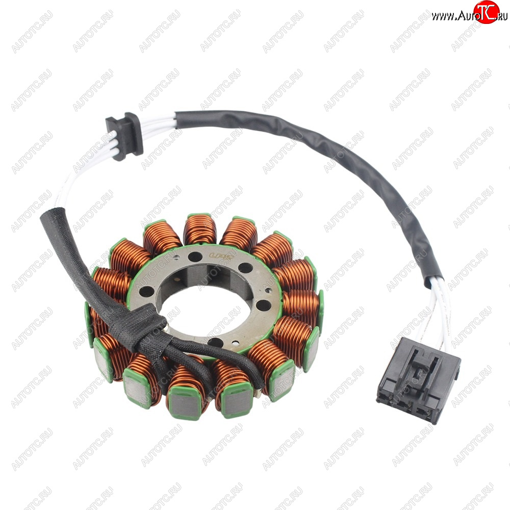 6 769 р. Статор генератора Aprilia RSV4 11-17, Tuono 1000 V4 12-15, Tuono 1100 16-17 2D000049  пм-00029754  с доставкой в г. Вологда