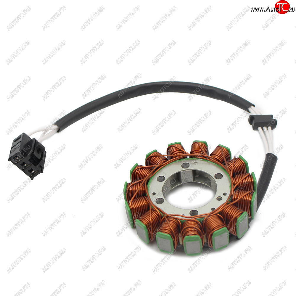 5 499 р. Статор генератора Kawasaki ZX6R 07-08 21003-0049  пм-00029862  с доставкой в г. Вологда