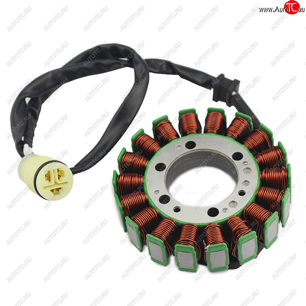 5 699 р. Статор генератора Kawasaki ZX6RRZX636 03-04, Z750S 04-06, Z1000 03-06 21003-0001  пм-00029628  с доставкой в г. Вологда