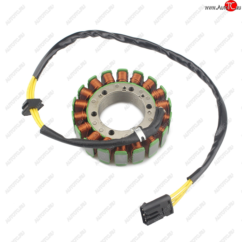 6 769 р. Статор генератора BMW F650GS 06-12, F700GS 11-17, F800GS 07-17, F800R 10-19, F800S 04-10 и др.  пм-00029826  с доставкой в г. Вологда