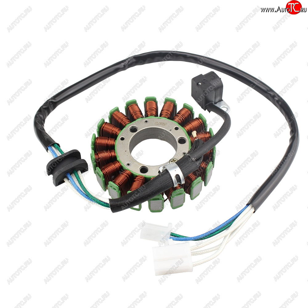 5 289 р. Статор генератора Yamaha TT-R250 93-06 4GY-81410-01-00, 4GY-81410-02-00  пм-00029578  с доставкой в г. Вологда