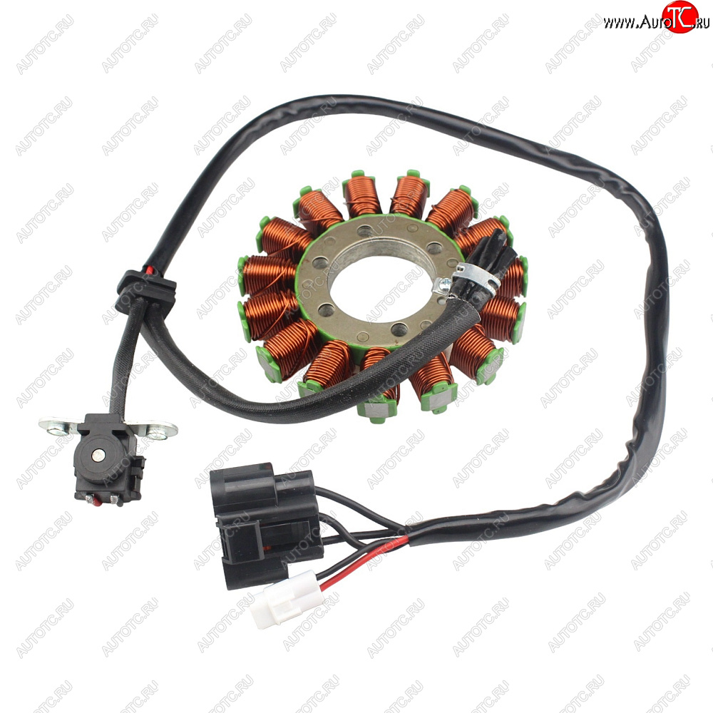 6 729 р. Статор генератора Harley Davidson XG500750 15-20 29900064, 29900006  пм-00029558  с доставкой в г. Вологда