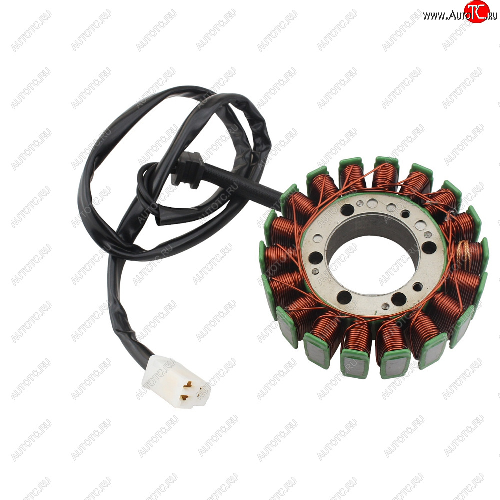 6 769 р. Статор генератора Triumph Tiger 955 01-06, Speed Triple 955 02-04, Sprint STRS 955 00-04 и другие  пм-00029966  с доставкой в г. Вологда