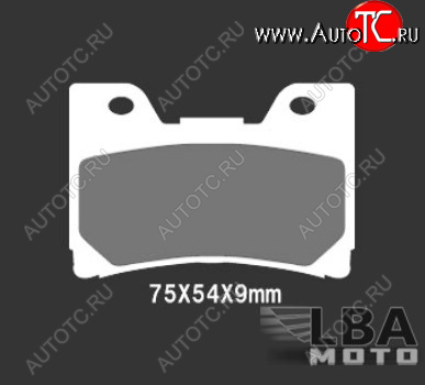2 699 р. Тормозные колодки Nissin 2P-251NS (251)  28 556  с доставкой в г. Вологда