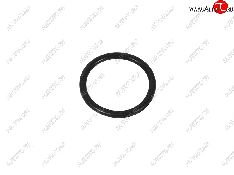 369 р. Кольцо уплотнительное АКПП VAG VAG WHT001403  с доставкой в г. Вологда