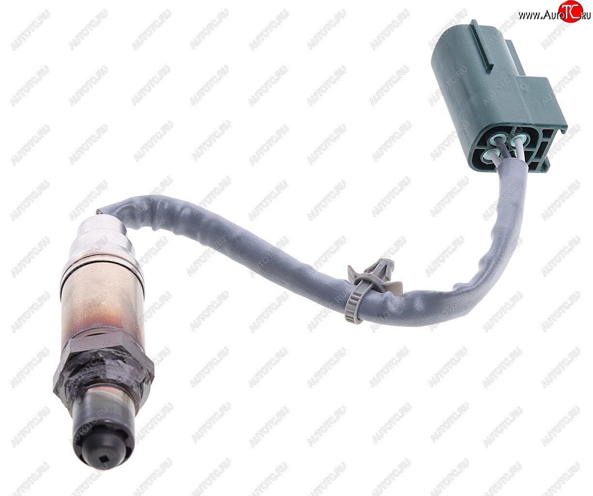 6 999 р. Датчик кислорода NISSAN Micra (03-) (1.2/1.4) BOSCH BOSCH 0258005307 BOSCH 0258005307  с доставкой в г. Вологда